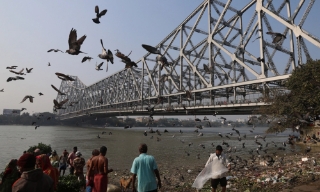 5 y bác sĩ nhiễm virus Nipah, Ấn Độ cách ly gần 100 người